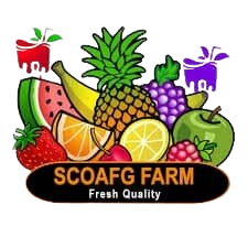Soc. Coop agri. Organic Farmer Group Logo